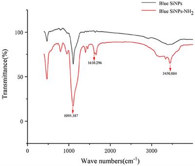 Lateral Flow Immunoassay for Visible Detection of Human Brucellosis Based on Blue Silica Nanoparticles